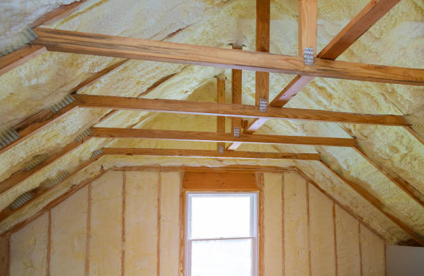 Best Best Insulation Companies  in Holly Ridge, NC