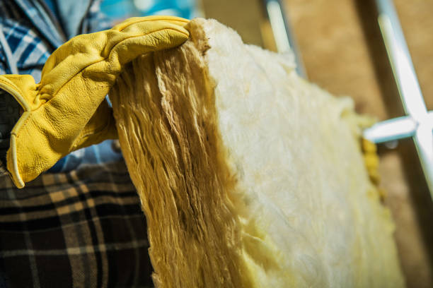 Best Local Insulation Services  in Holly Ridge, NC