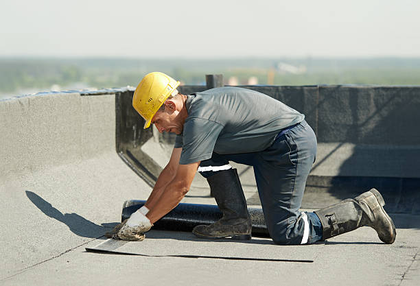 Best Insulation Contractor Near Me  in Holly Ridge, NC