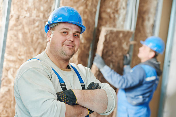 Best Insulation Contractors for Homes  in Holly Ridge, NC