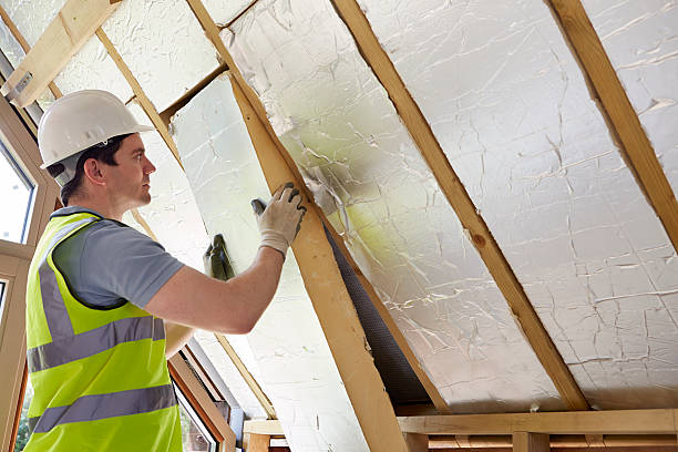 Best Insulation Removal Services  in Holly Ridge, NC