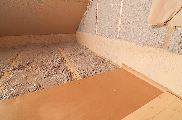 Best Professional Insulation Contractor  in Holly Ridge, NC