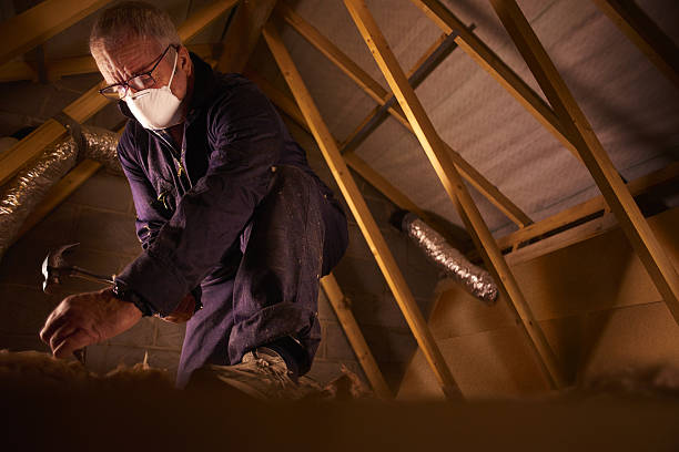 Best Home Insulation Services  in Holly Ridge, NC